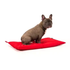 51 Degrees North Storm Bench Hundenkissen -Günstiges Bellohaus Geschäft 51 degrees north storm bench hondenkussen 141755 0500 none