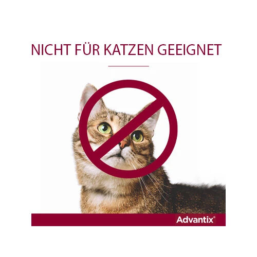 Advantix® 4 Advantix® - Image 2