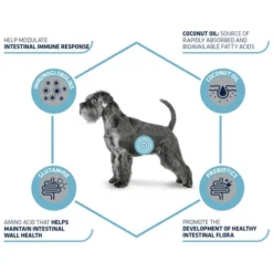 Affinity Advance Veterinary Diets Gastroenteric Hund 14 Affinity Advance Veterinary Diets Gastroenteric Hund -Günstiges Bellohaus Geschäft affinity advance veterinary diets gastroenteric hond 177655 0500 none