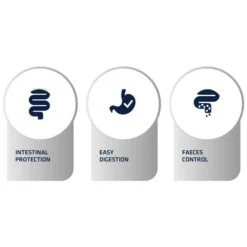 Affinity Advance Veterinary Diets Gastroenteric Hund 15 Affinity Advance Veterinary Diets Gastroenteric Hund -Günstiges Bellohaus Geschäft affinity advance veterinary diets gastroenteric hond 177658 0500 none