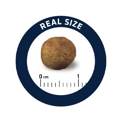 Affinity Advance Veterinary Diets Gastroenteric Hund 7 Affinity Advance Veterinary Diets Gastroenteric Hund - Image 5