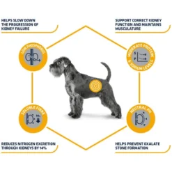 Affinity Advance Veterinary Diets Renal Hund -Günstiges Bellohaus Geschäft affinity advance veterinary diets renal hond 177343 0500 none