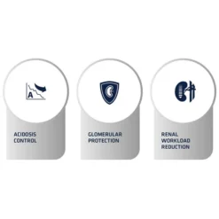 Affinity Advance Veterinary Diets Renal Hund -Günstiges Bellohaus Geschäft affinity advance veterinary diets renal hond 177346 0500 none