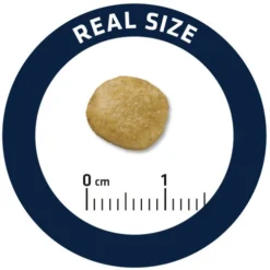 Affinity Advance Veterinary Diets Renal Hund -Günstiges Bellohaus Geschäft affinity advance veterinary diets renal hond 177349 0500 none