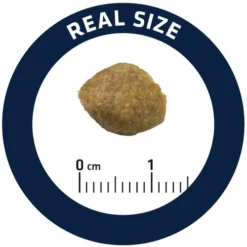 Affinity Advance Veterinary Diets Urinary Hund 17 Affinity Advance Veterinary Diets Urinary Hund -Günstiges Bellohaus Geschäft affinity advance veterinary diets urinary hond 177694 0500 none