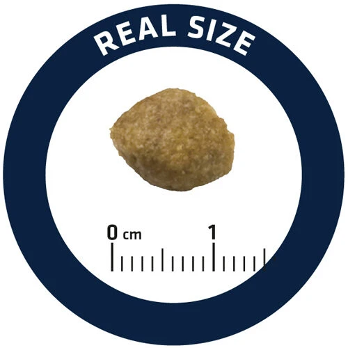 Affinity Advance Veterinary Diets Urinary Hund 8 Affinity Advance Veterinary Diets Urinary Hund - Image 6