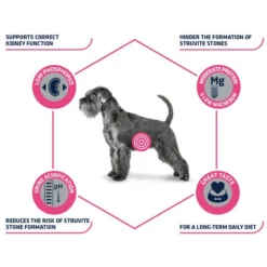 Affinity Advance Veterinary Diets Urinary Hund 14 Affinity Advance Veterinary Diets Urinary Hund -Günstiges Bellohaus Geschäft affinity advance veterinary diets urinary hond 177715 0500 none