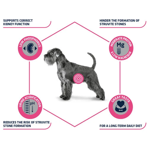 Affinity Advance Veterinary Diets Urinary Hund 5 Affinity Advance Veterinary Diets Urinary Hund - Image 3