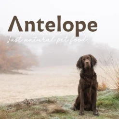 Antelope Fresh Puppy Hundefutter -Günstiges Bellohaus Geschäft antelope fresh puppy hondenvoer 217766 0500 none