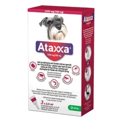 Ataxxa