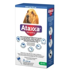 Ataxxa -Günstiges Bellohaus Geschäft ataxxa 216875 0500 none