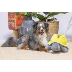 Beeztees Hide And Seek Schildo -Günstiges Bellohaus Geschäft beeztees hide and seek schildo 221787 0500 none