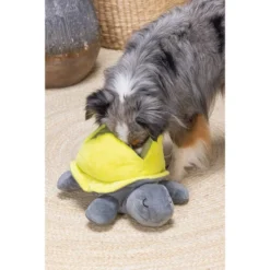 Beeztees Hide And Seek Schildo -Günstiges Bellohaus Geschäft beeztees hide and seek schildo 221788 0500 none