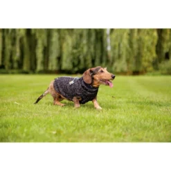 Beeztees Hundepullover Celia -Günstiges Bellohaus Geschäft beeztees hondentrui celia 219140 0500 none