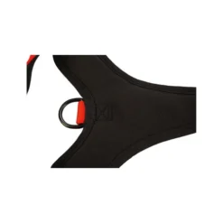 Beeztees Parinca Premium Y-Geschirr -Günstiges Bellohaus Geschäft beeztees parinca premium y tuig 199583 0500 none