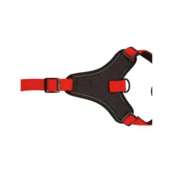 Beeztees Parinca Premium Y-Geschirr -Günstiges Bellohaus Geschäft beeztees parinca premium y tuig 199589 0500 none