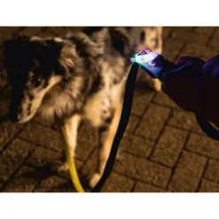 Beeztees Safety Gear Parinca Premium Hundeleine -Günstiges Bellohaus Geschäft beeztees safety gear parinca premium hondenriem 215036 0500 none