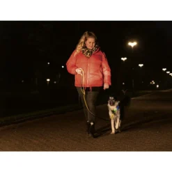 Beeztees Safety Gear Parinca Premium Hundeleine -Günstiges Bellohaus Geschäft beeztees safety gear parinca premium hondenriem 215042 0500 none