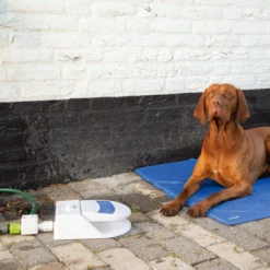 Beeztees Splashy Water Fountain -Günstiges Bellohaus Geschäft beeztees splashy waterfontein 163285 0500 none