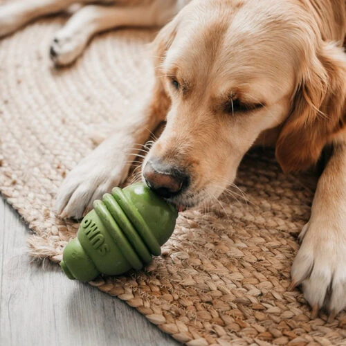 Beeztees Sumo Play Dental 4 Beeztees Sumo Play Dental - Image 2