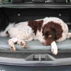 Bia Original Matratze Grau -Günstiges Bellohaus Geschäft bia original matras grijs 164077 0500 none