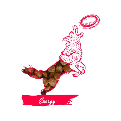 Calibra Dog Expert Nutrition Energy 5 Calibra Dog Expert Nutrition Energy - Image 3