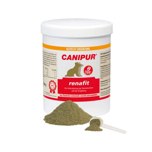 Canipur Renafit 3 Canipur Renafit