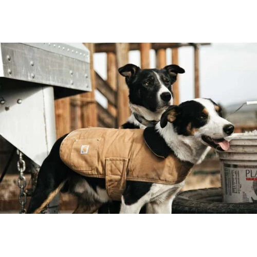 Carhartt Dog Chore Coat 8 Carhartt Dog Chore Coat - Image 6