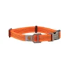 Carhartt Tradesman Hundehalsband -Günstiges Bellohaus Geschäft carhartt tradesman dog collar 186577 0500 none