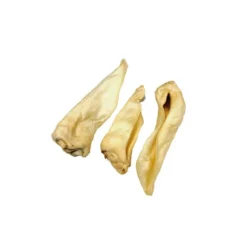 Competition Ziegenohren Adult