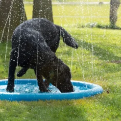 CoolPets Splash Pool Water Sprinkler -Günstiges Bellohaus Geschäft coolpets splash pool sproeier 174286 0500 none