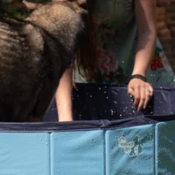 CoolPets Hundepool 10 CoolPets Hundepool -Günstiges Bellohaus Geschäft coolpets zwembad 198134 0500 none