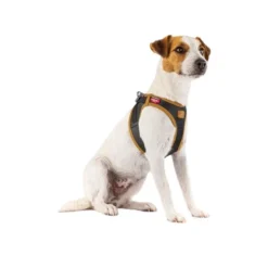 Curli Vegan Apple Leather Geschirr 9 Curli Vegan Apple Leather Geschirr -Günstiges Bellohaus Geschäft curli harnas vegan appelleer 216631 0500 none