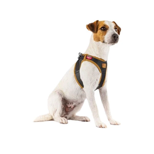 Curli Vegan Apple Leather Geschirr 5 Curli Vegan Apple Leather Geschirr - Image 3