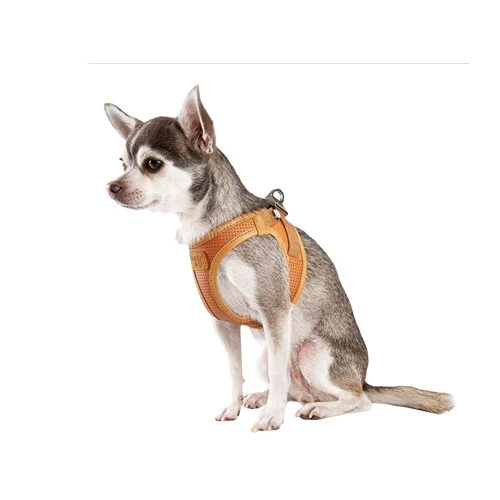 Curli Vegan Apple Leather Geschirr 4 Curli Vegan Apple Leather Geschirr - Image 2