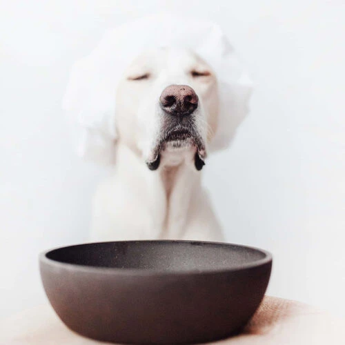 District 70 Bamboo Hundenapf 4 District 70 Bamboo Hundenapf - Image 2