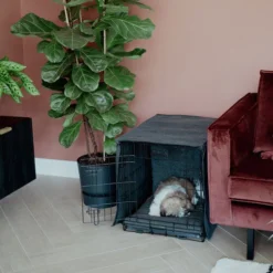 District 70 Crate Cover 16 District 70 Crate Cover -Günstiges Bellohaus Geschäft district 70 crate cover 191152 0500 none