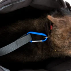 Doctor Bark Hundetragetasche -Günstiges Bellohaus Geschäft doctor bark honden draagtas 202157 0500 none