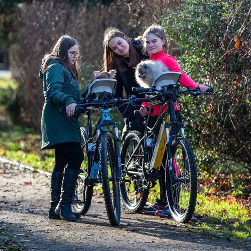 Dogrider Dog Seat + Korb - Grau 4 Dogrider Dog Seat + Korb - Grau - Image 2