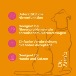 Dr. Ann's Kidney Support 7 Dr. Ann's Kidney Support -Günstiges Bellohaus Geschäft dr anns kidney support 217502 0500 none