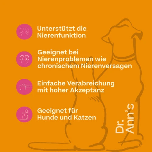 Dr. Ann's Kidney Support 5 Dr. Ann's Kidney Support - Image 3