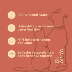 Dr. Ann's Liver Support 8 Dr. Ann's Liver Support -Günstiges Bellohaus Geschäft dr anns liver support 220417 0500 none