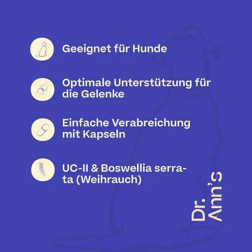 Dr. Ann's Mobility Support Advanced 7 Dr. Ann's Mobility Support Advanced - Image 5