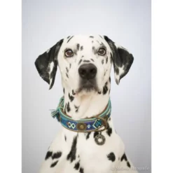 DWAM Halsband Boho Juan -Günstiges Bellohaus Geschäft dwam halsband boho juan 132080 0500 none