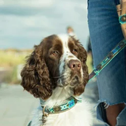 DWAM Halsband Boho Juan -Günstiges Bellohaus Geschäft dwam halsband boho juan 133658 0500 none