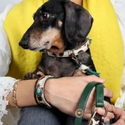 DWAM Halsband Ivy -Günstiges Bellohaus Geschäft dwam halsband ivy 180688 0500 none