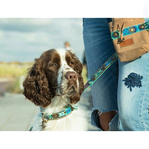 DWAM Hundeleine Boho Juan 4 DWAM Hundeleine Boho Juan - Image 2