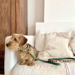 DWAM Hundeleine Ivy -Günstiges Bellohaus Geschäft dwam hondenriem ivy 180700 0500 none