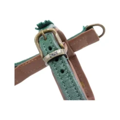 DWAM Hundegschirr Ivy -Günstiges Bellohaus Geschäft dwam hondentuigje ivy 182740 0500 none