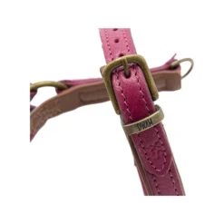 DWAM Hundegeschirr Lou Lou -Günstiges Bellohaus Geschäft dwam hondentuigje lou lou 182158 0500 none